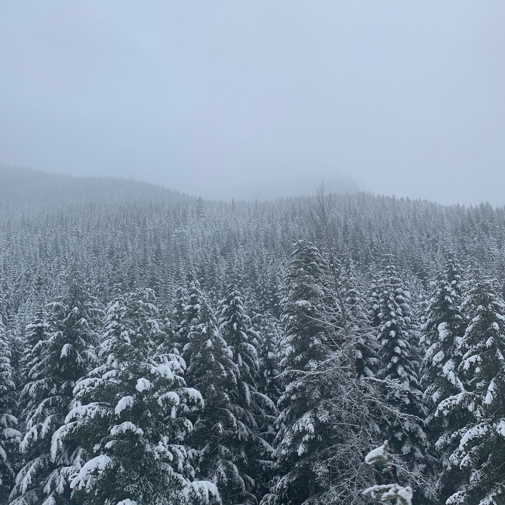 Meet your Posher, Gisela